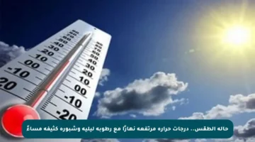 حالة الطقس.. درجات حرارة مرتفعة نهارًا مع رطوبة ليلية وشبورة كثيفة مساءً